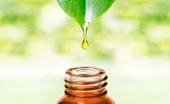 essential oil drop falling from leaf into bottle
