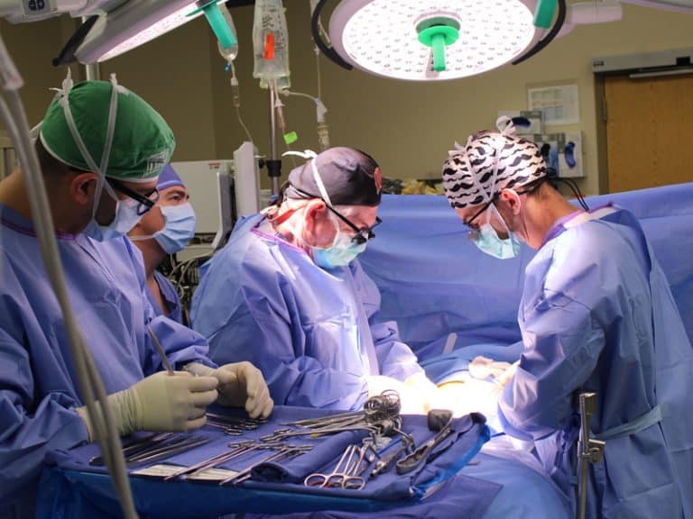 Four kidney transplants in one family at one hospital | Shine Online ...