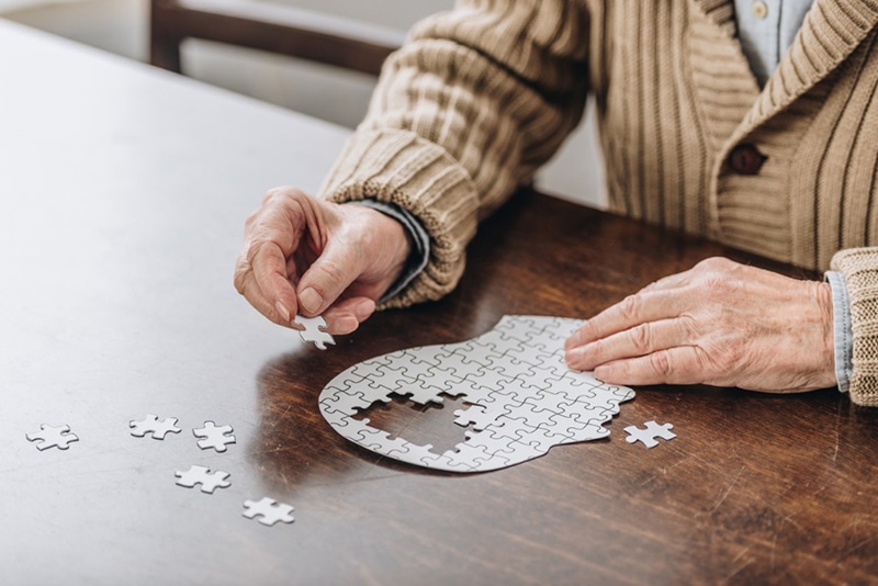 Person doing a puzzle of a head where puzzle pieces are missing in brain; Alzheimer's support can help those who deal with it.