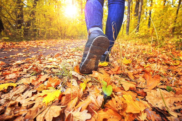 Someone walking through fallen autumn leaves