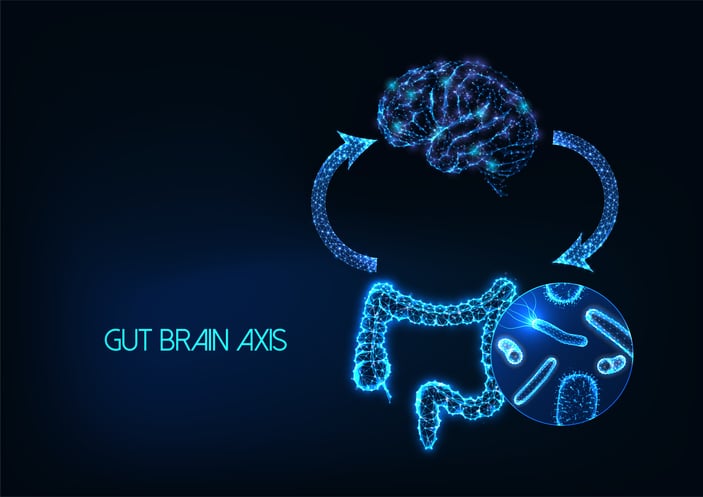 A computer-generated image depicts the gut brain axis, while a cutaway image depicts micro-organisms.