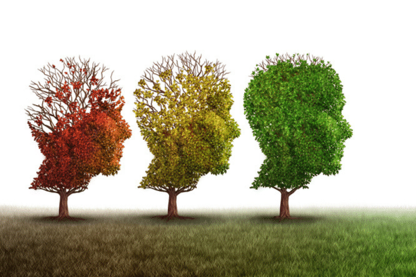 Image of three trees, one red one yellow and one green, in the shape of human heads
