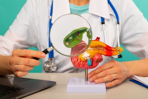 A doctor uses a magnifying glass to highlight the gallbladder on a model.