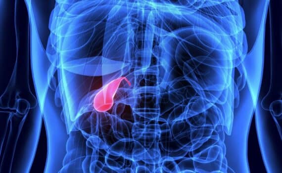 Blue 3-D illustration showing a gallbladder highlighted in red
