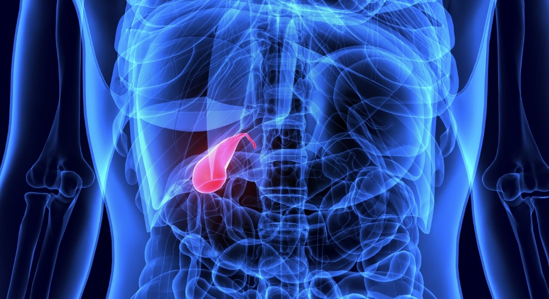 Blue 3-D illustration showing a gallbladder highlighted in red