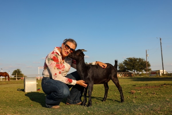 Amy Yoste nuzzles a goat at her Celina property.