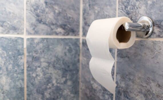 A toilet paper roll hangs from a chrome bathroom fixture.
