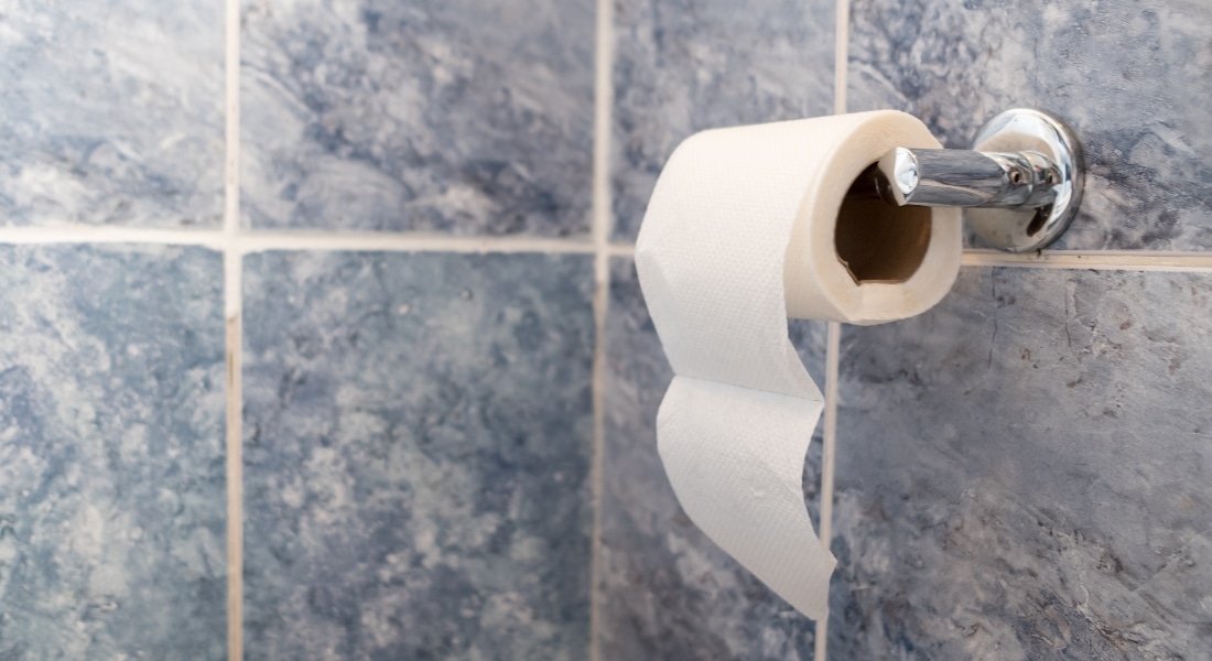 A toilet paper roll hangs from a chrome bathroom fixture.